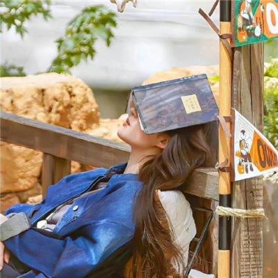不可思议猫森林